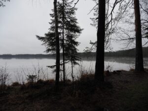 Bäume